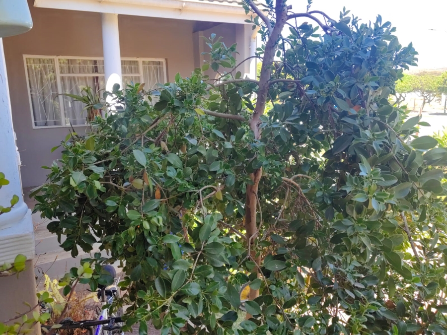 3 Bedroom Property for Sale in Uniondale Western Cape